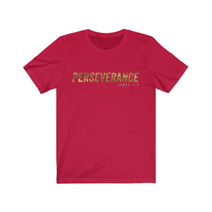 Men’s “Perseverance” Cotton Tee