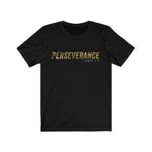 Perseverance