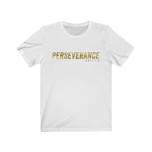 Load image into Gallery viewer, Perseverance
