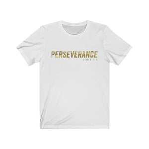 Perseverance
